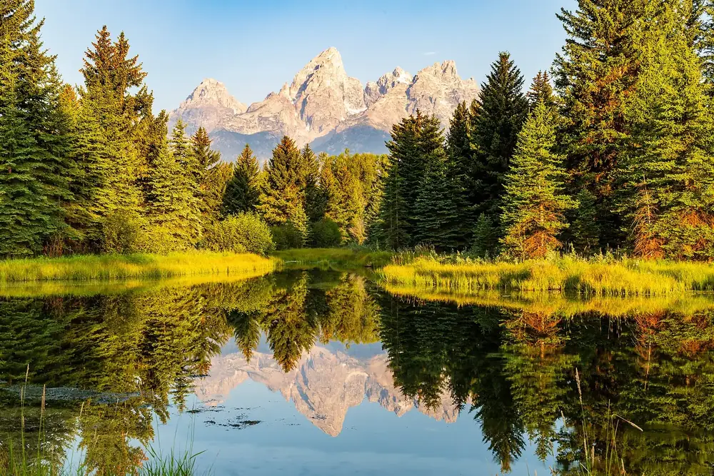 Schwabacher Landing bei Sonnenaufgang: die Teton-Gipfel und Nadelbäume spiegeln sich in einem stillen Seitenarm
