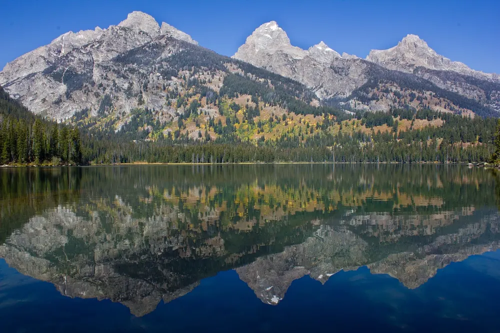 Taggart Lake: die Gipfel der Teton Range und herbstlicher Wald spiegeln sich im tiefblauen, stillen Bergsee
