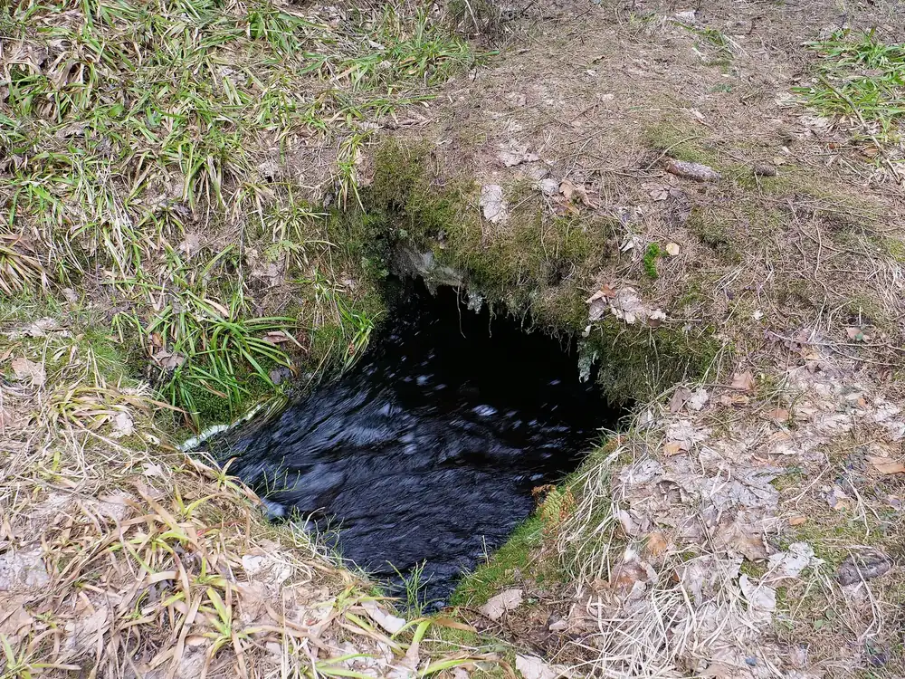 Rehberger Graben: dunkles Wasser des historischen Hanggrabens in einer Öffnung zwischen Gras und Laub