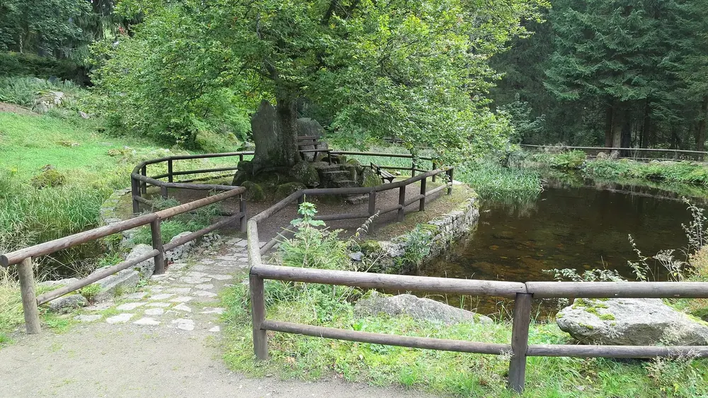 Kurpark und Steingarten Schierke: kleiner Teich mit Holzgeländer, Steinplattenweg und alte Bäume