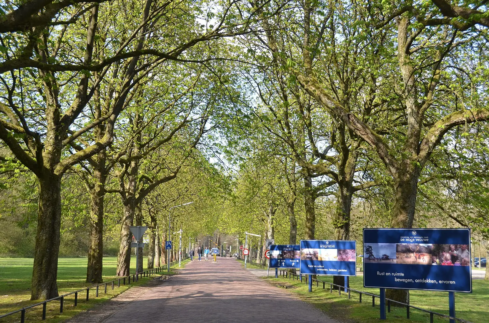 Die Zufahrt zum Eingang Schaarsbergen des Nationalparks De Hoge Veluwe zwischen Bäumen