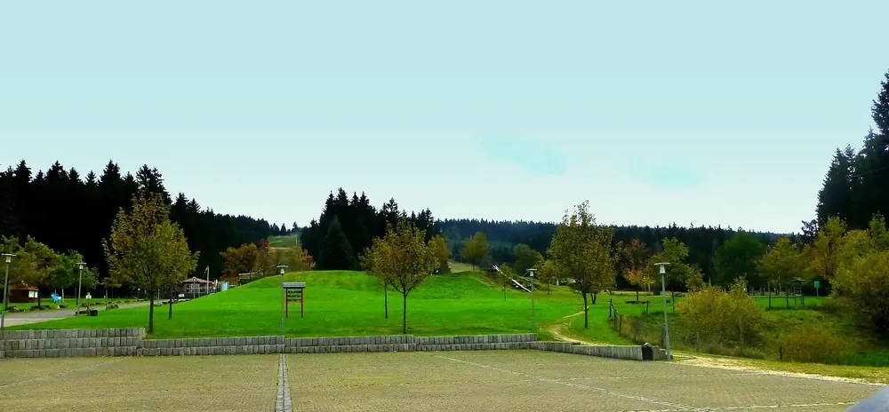 Wiesenhang am Erbeskopf mit Sommerrodelbahn und Wintersportgelände, gesäumt von Fichtenwald und Laubbäumen