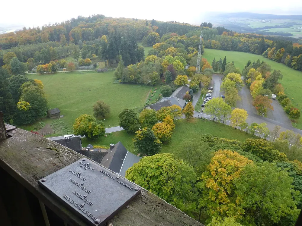 Blick von der Aussichtsplattform der Burg Wildenburg über herbstliche Bäume auf das Wildfreigehege und Wiesen