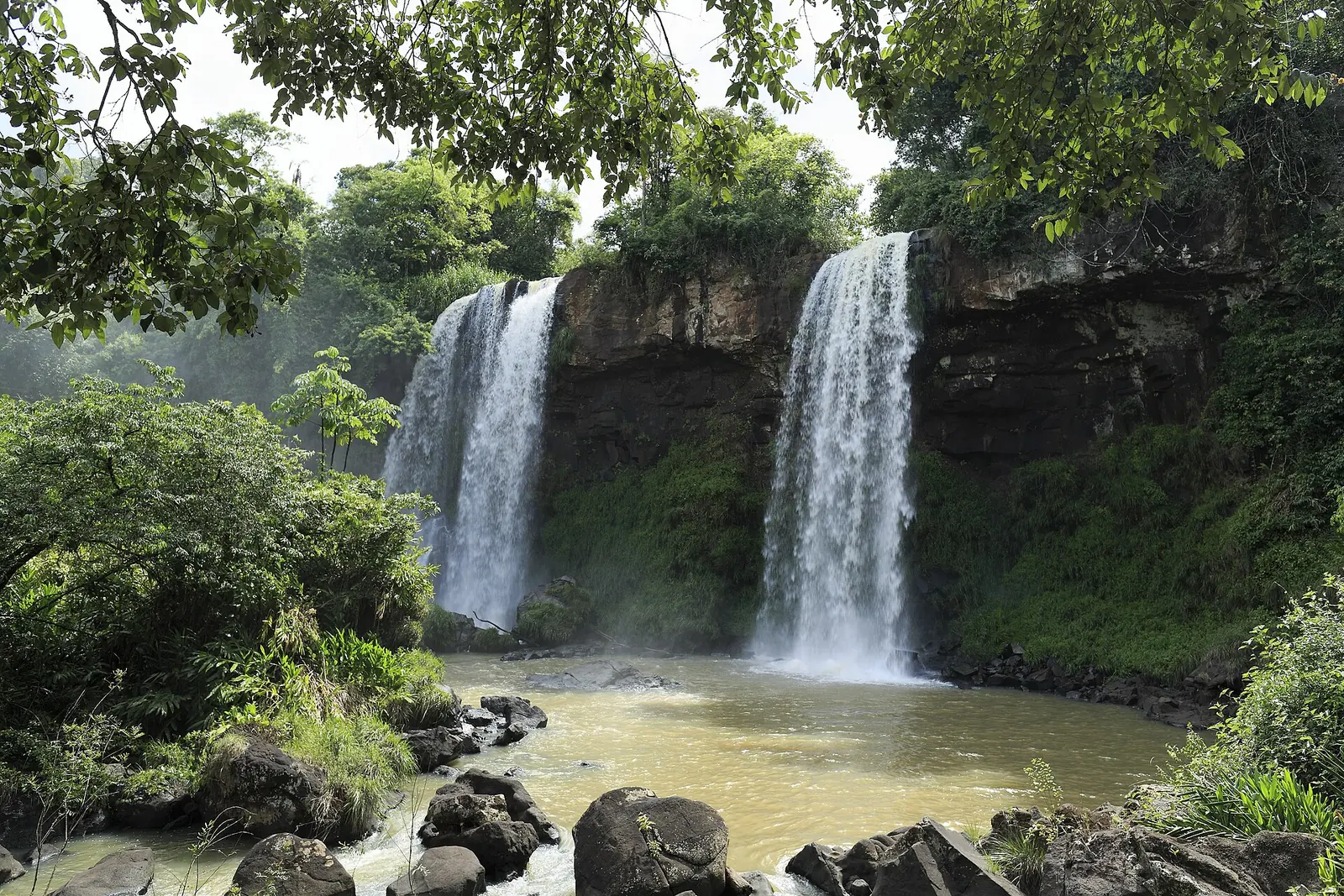 Die zwei Fälle des Salto Dos Hermanas im Iguazú-Nationalpark stürzen über eine Felswand in ein bräunliches Becken, ringsum dichter Regenwald
