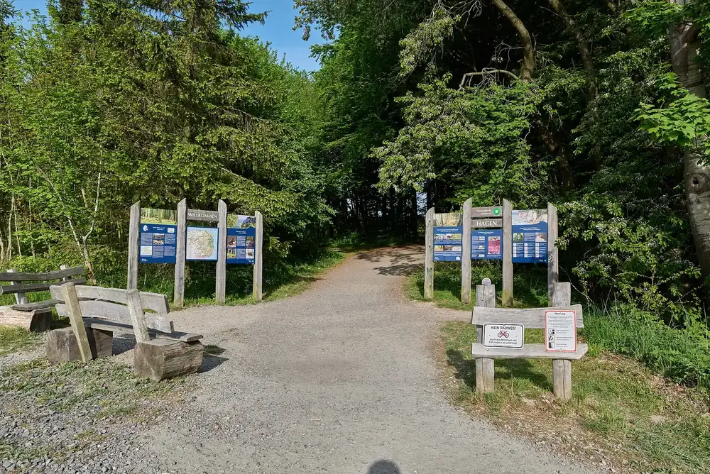 Eingang zum Nationalpark Jasmund bei Hagen: Waldweg mit Infotafeln und Holzbänken unter Buchen