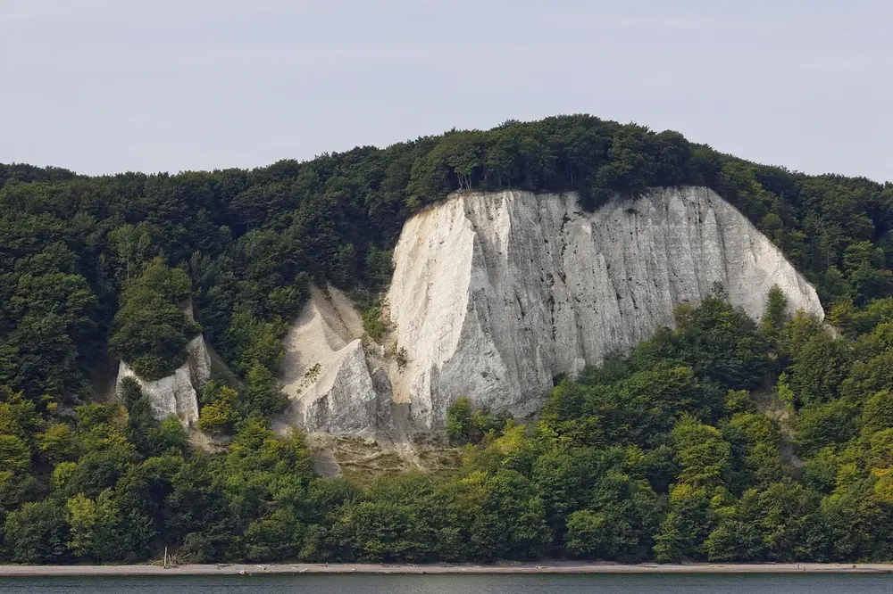 Kreidefelsen an der Victoria-Sicht vom Wasser aus: weiße Steilküste unter dichtem grünem Buchenwald