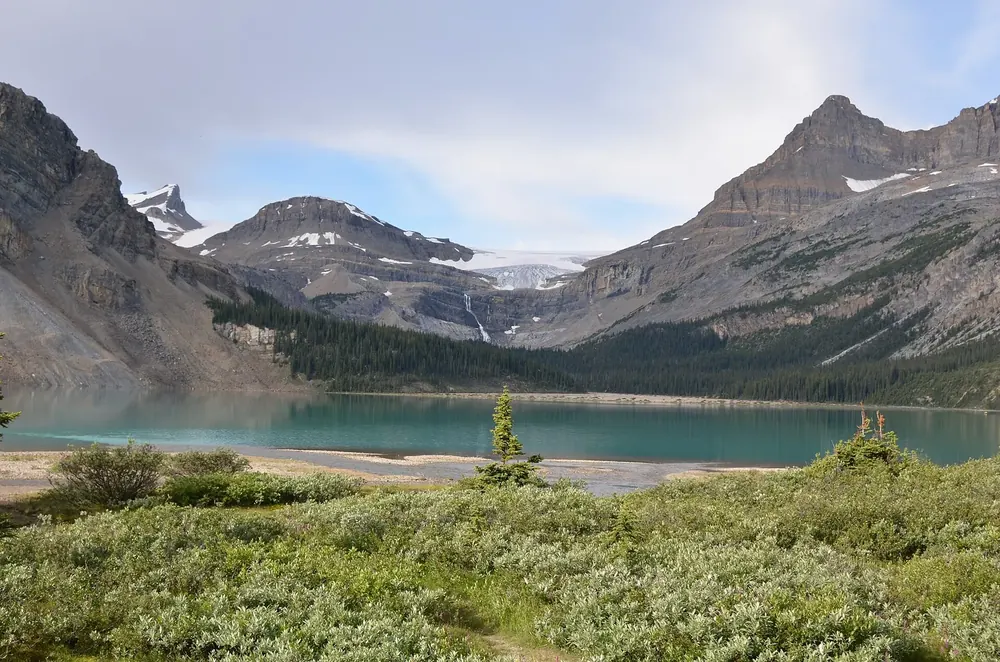 Crowfoot Glacier über dem Bow Lake: Gletscher an einer Felswand, davor der türkisfarbene See und Buschwerk