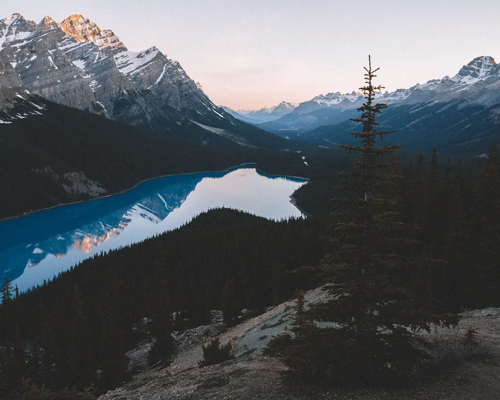 Peyto Lake bei Sonnenaufgang: wolfskopfförmiger, türkisblauer See zwischen dunklen Wäldern und schroffen Gipfeln