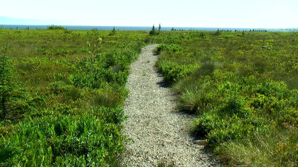 Port Joli Head Trail: schmaler Schotterweg durch grüne Küstenheide, am Horizont das Meer