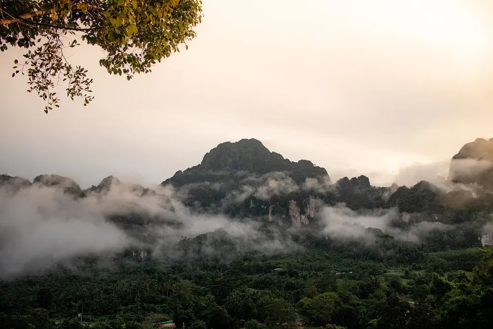 Khlong-Phanom-Nationalpark: Nebel zieht über Regenwald vor steilen Kalksteinbergen im warmen Morgenlicht