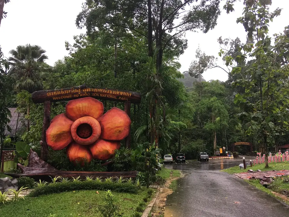 Parkeingang des Khao Sok: große Rafflesia-Blüte als Skulptur neben dem Parkschild, dahinter Regenwald und Zufahrt