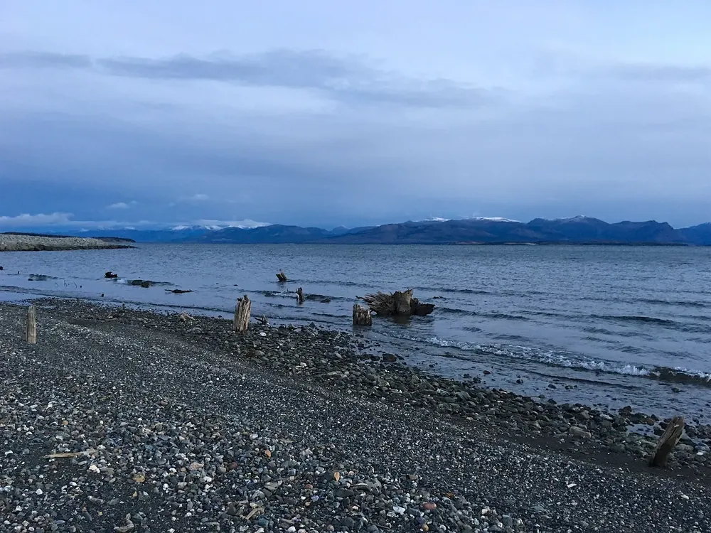 Kluane Lake: steiniges Ufer mit Treibholz, dahinter die weite Wasserfläche und Bergketten unter Wolken