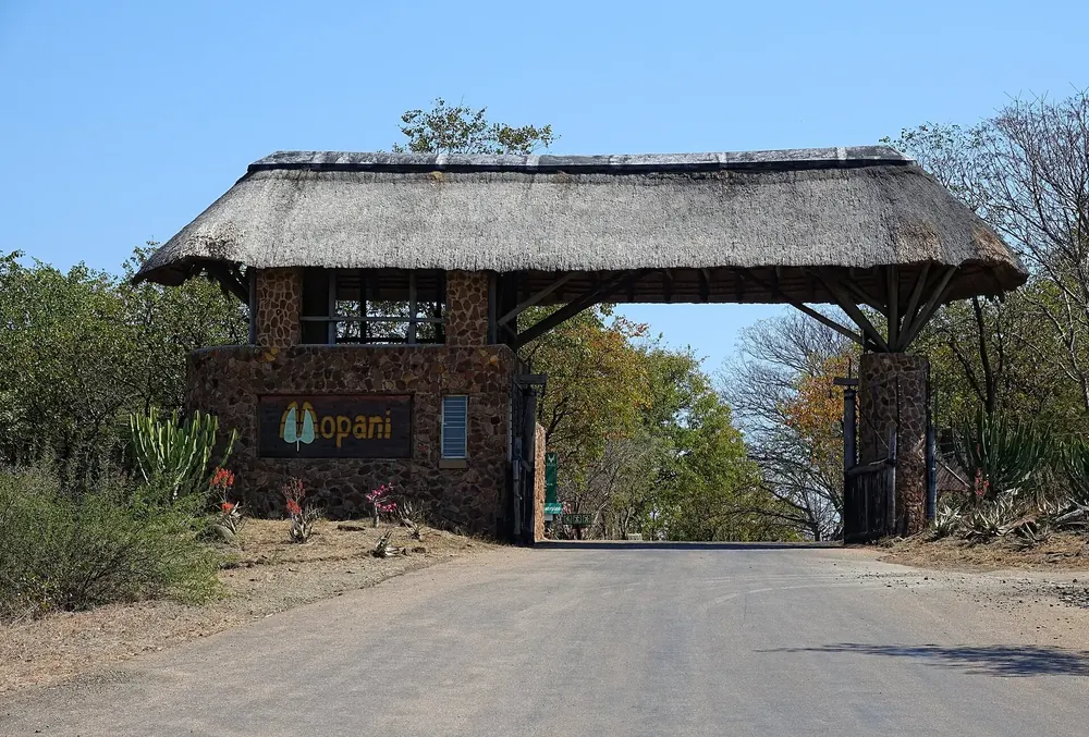 Eingangstor des Rastlagers Mopani: strohgedecktes Torhaus aus Naturstein mit Mopane-Blatt-Logo über der Zufahrt