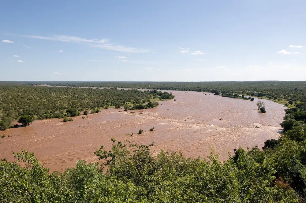 Blick vom Rastlager Olifants auf den breiten, rotbraunen Olifants River zwischen grünem Buschland