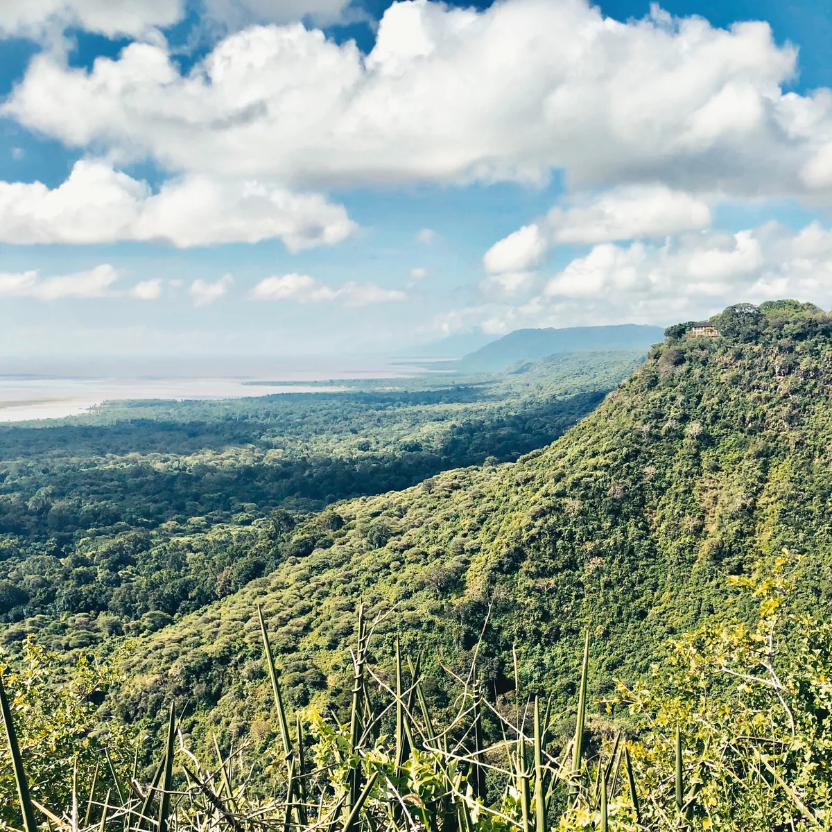 Blick vom Aussichtspunkt an der B144 über einen bewaldeten Ausläufer der Rift-Valley-Wand hinunter auf den Wald und den See des Lake-Manyara-Nationalparks