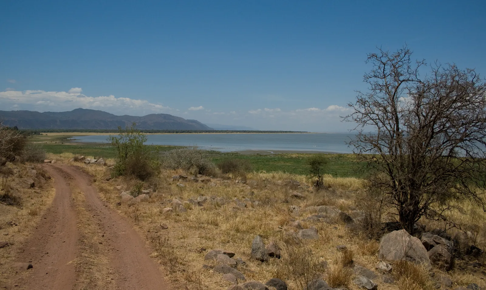 Eine Sandpiste führt im Lake-Manyara-Nationalpark durch trockenes Buschland zum Manyara-See, am Horizont Berge