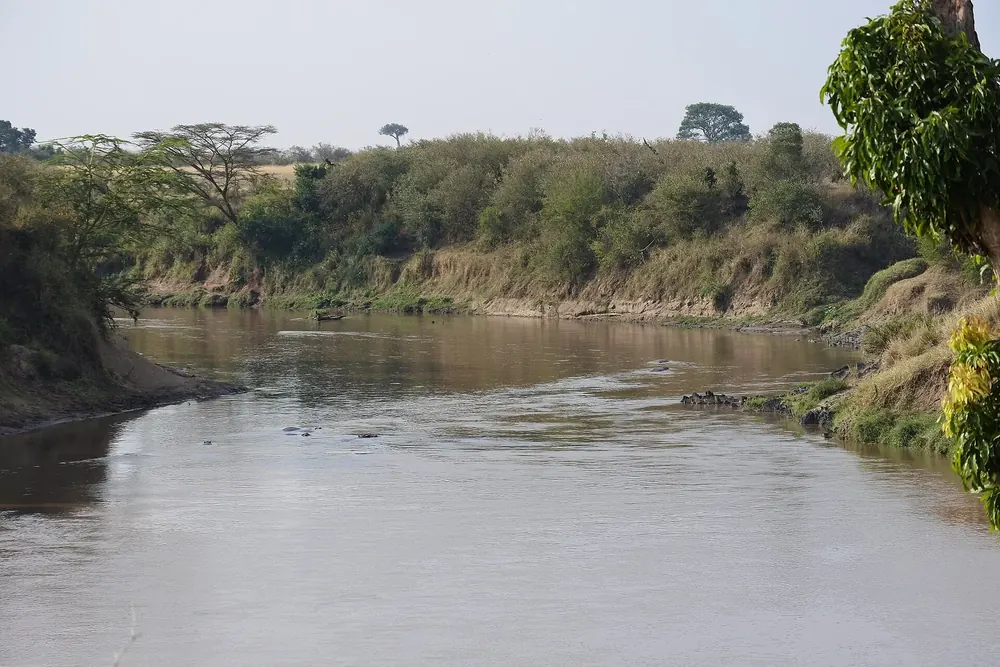 Mara River: breiter brauner Fluss zwischen steilen, buschbewachsenen Ufern, am Horizont einzelne Akazien