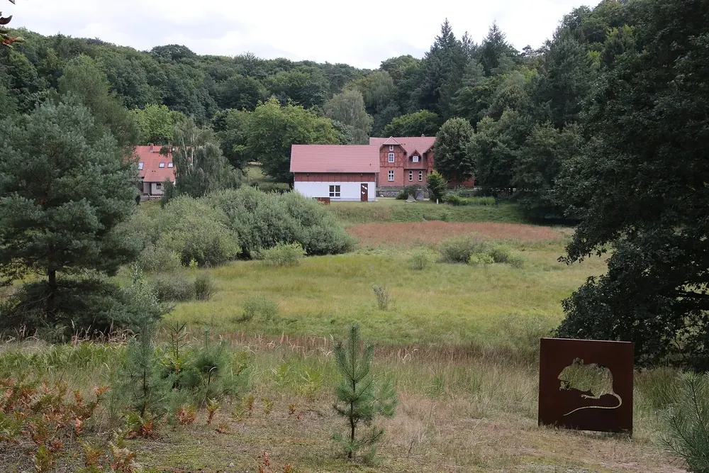Blick auf Serrahn: rote Backsteinhäuser am Waldrand hinter einer Wiese mit Kiefern