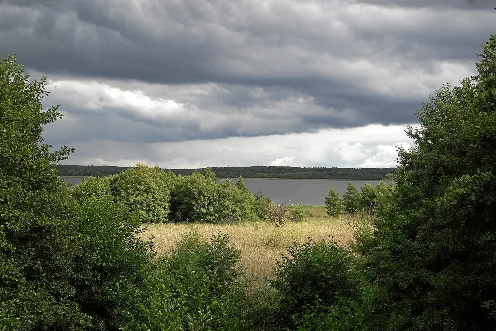 Specker See im Müritz-Nationalpark: Blick über Gebüsch und Wiese auf den See unter dunklen Regenwolken