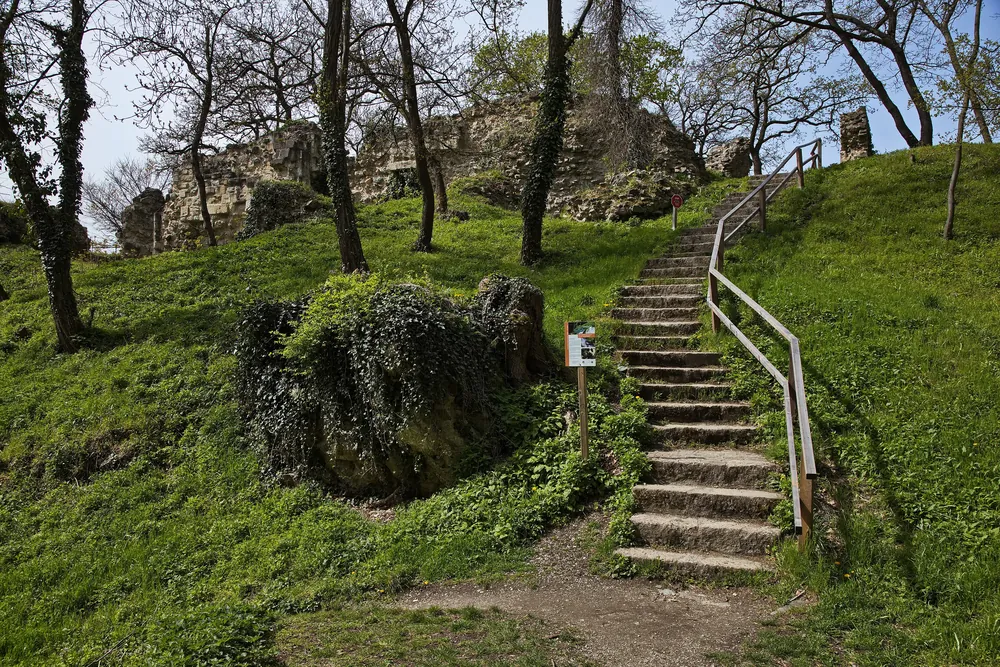 Eine Holztreppe führt durch Wiese und Bäume zur Ruine Rötelstein bei Hainburg an der Grenze des Nationalparks Donau-Auen
