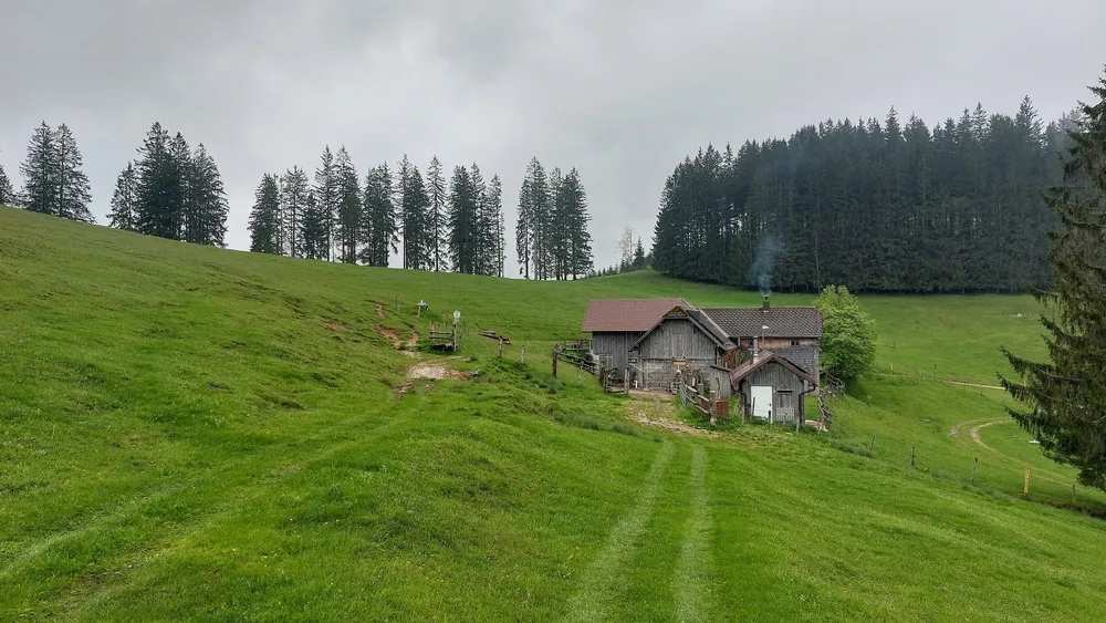 Die Hütte der Anlaufalm im Nationalpark Kalkalpen auf einer weiten Almwiese mit Fichten im Frühling