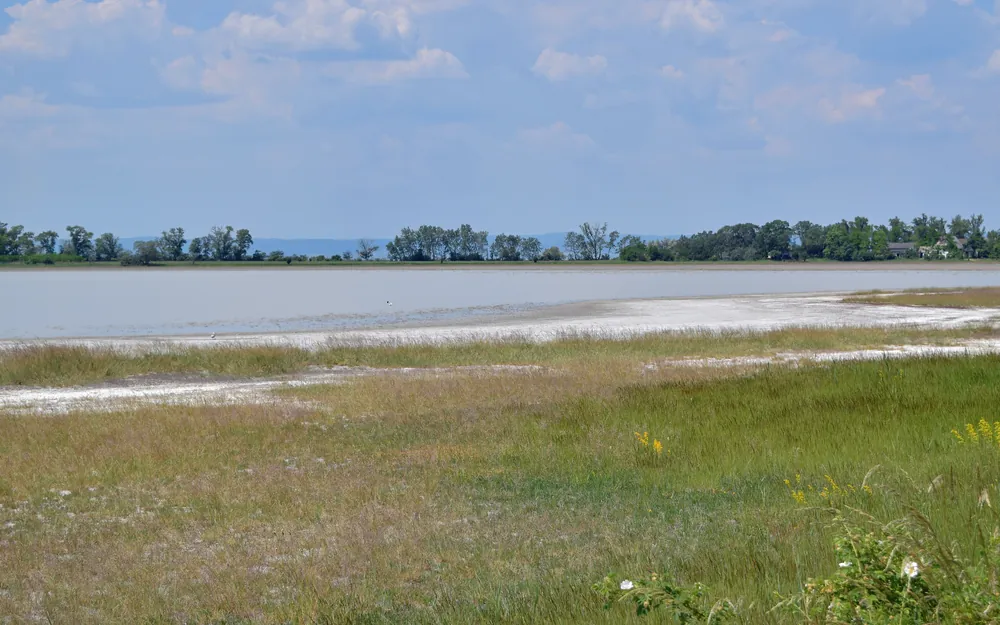 Wiesenufer und Wasserfläche des Oberen Stinkersees im Nationalpark Neusiedler See – Seewinkel
