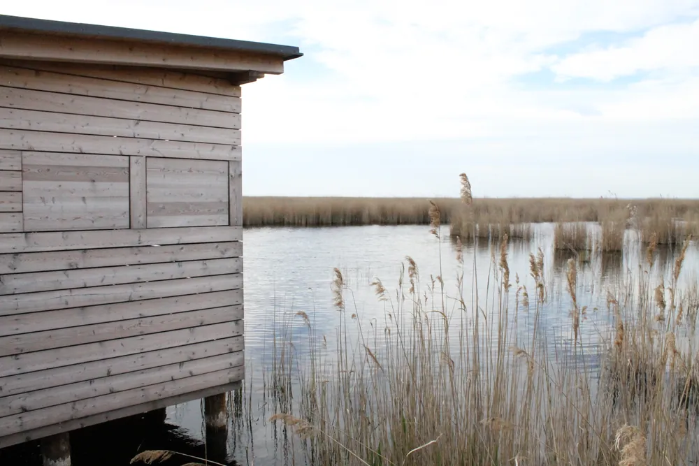 Holzhütte auf Stelzen an einem Schilfsteg im Seebad Illmitz, Wasser und Schilf des Neusiedler Sees am Rand des Nationalparks Neusiedler See – Seewinkel