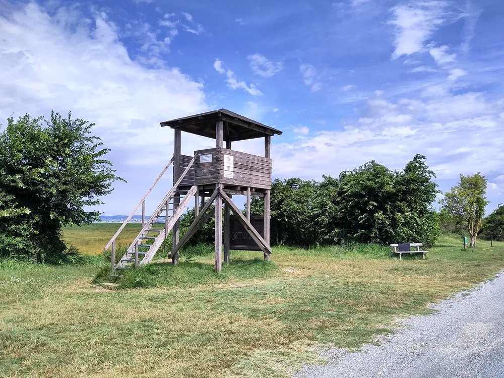 Hölzerner Aussichtsturm am Radweg B10 bei den Zitzmannsdorfer Wiesen im Nationalpark Neusiedler See – Seewinkel