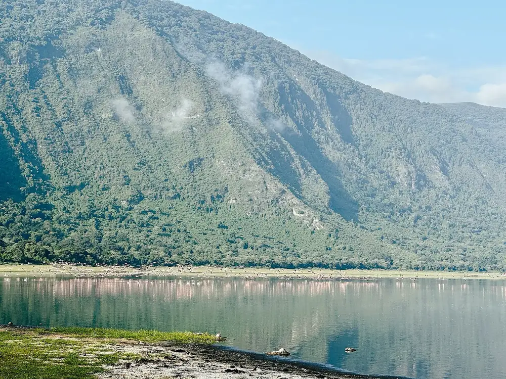 Empakaai-Kratersee: stilles Wasser mit rosa Flamingosaum am Ufer vor steilen, bewaldeten Kraterwänden