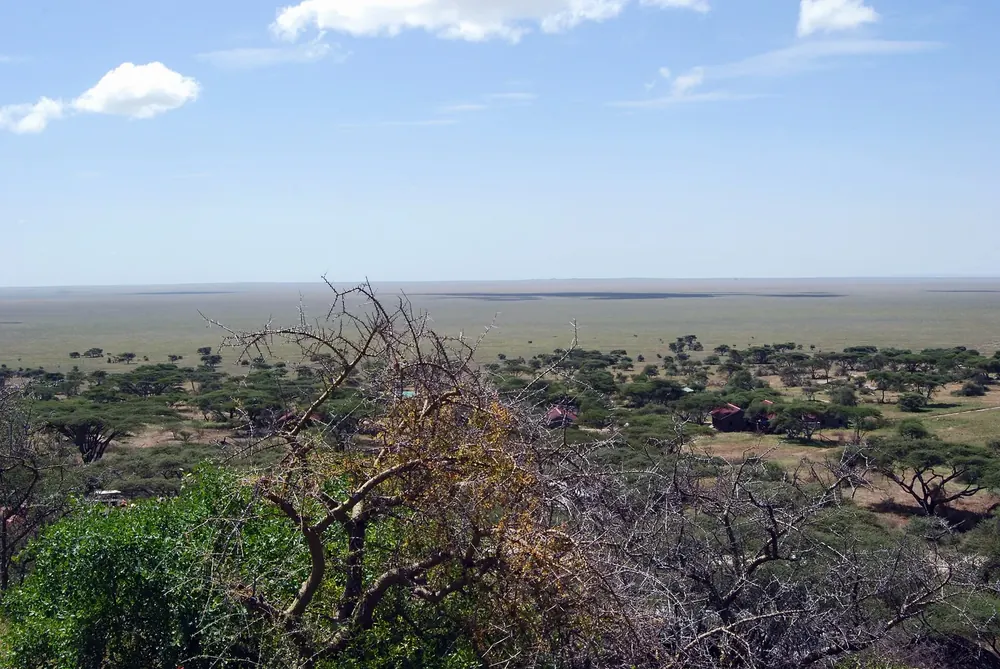 Blick vom Naabi Hill über Akazienbuschland auf die endlose, flache Ebene der östlichen Serengeti