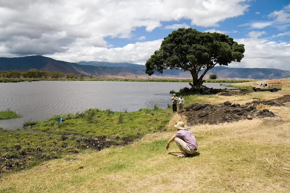 Ngoitokitok Springs im Ngorongoro-Krater: Quellsee mit großer Schirmakazie am Ufer, dahinter der Kraterrand
