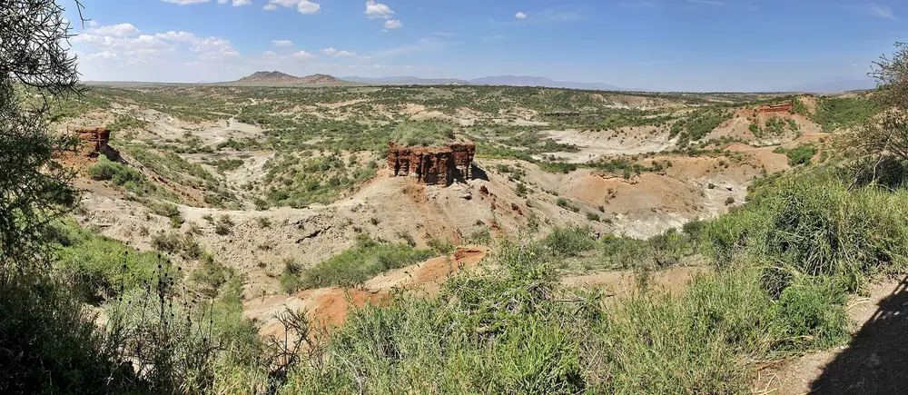 Olduvai-Schlucht: verzweigte Erosionsschlucht mit roten Felsschichten und Buschwerk bis zum Horizont