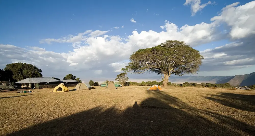 Simba Campsite am Kraterrand: Zelte auf trockener Wiese unter einer großen Schirmakazie, dahinter der Kraterrand