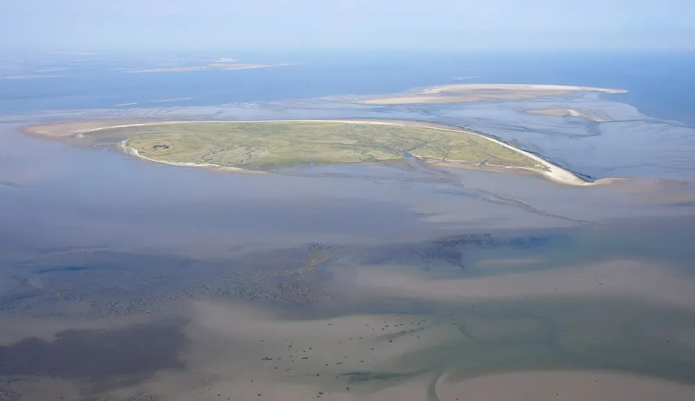 Luftaufnahme der Vogelschutzinsel Mellum von Südosten: flache grüne Insel inmitten weiter Sandbänke und Watt