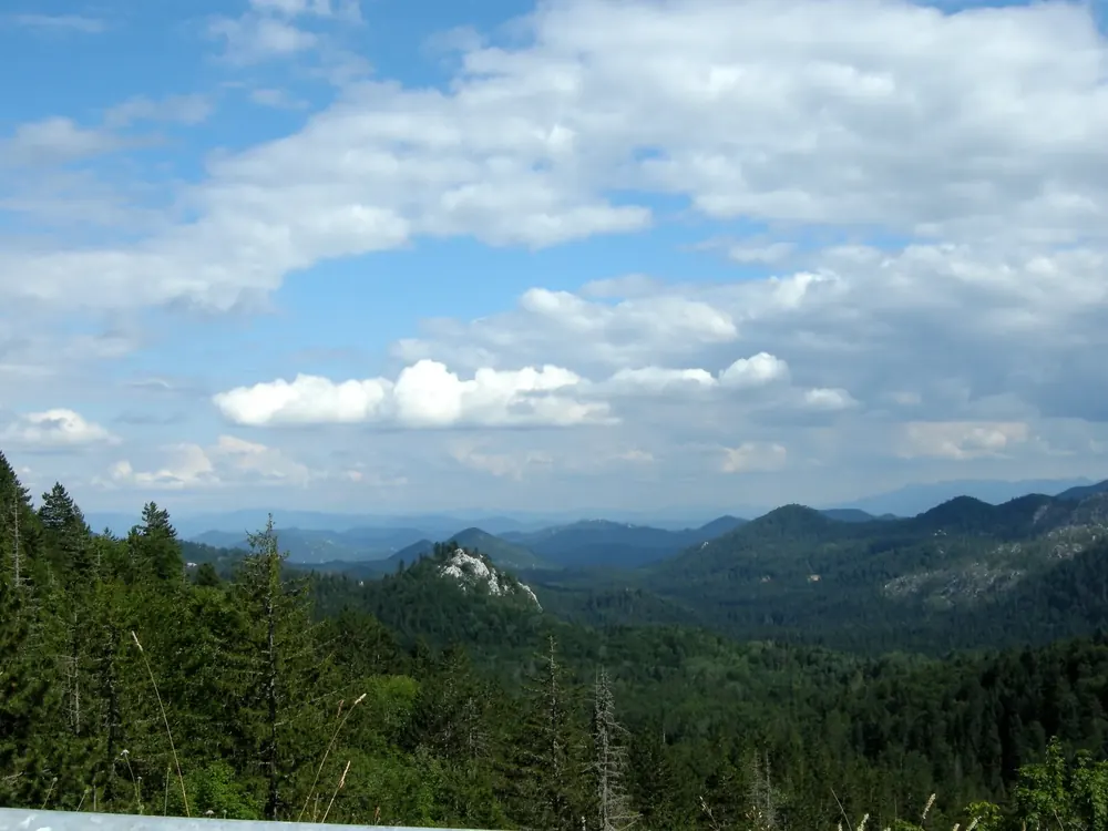 Blick über den Nationalpark Nördlicher Velebit: bewaldete Bergrücken und Täler bis zum fernen Horizont