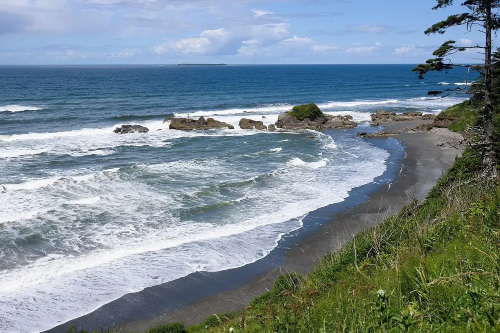 Beach 4 bei Kalaloch: Brandung an einem dunklen Sandstrand mit Felsen, oben grüne Böschung mit Fichten