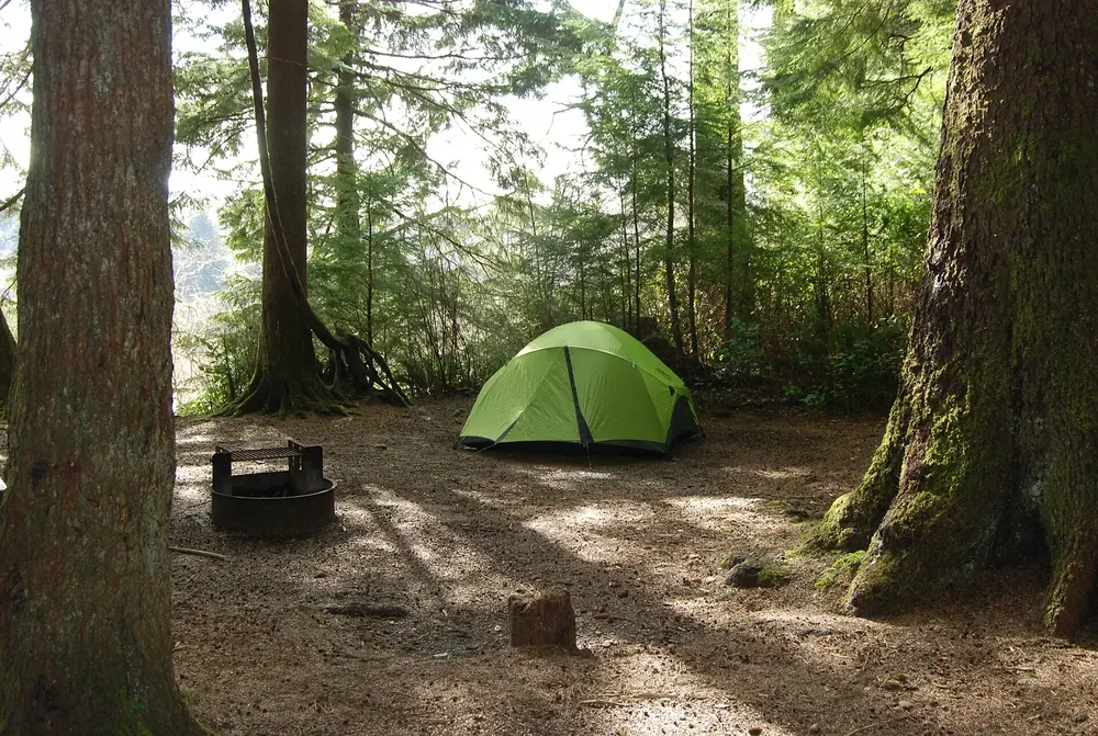 Zeltplatz im Mora Campground: grünes Zelt und Feuerstelle zwischen mächtigen, bemoosten Baumstämmen im Küstenwald