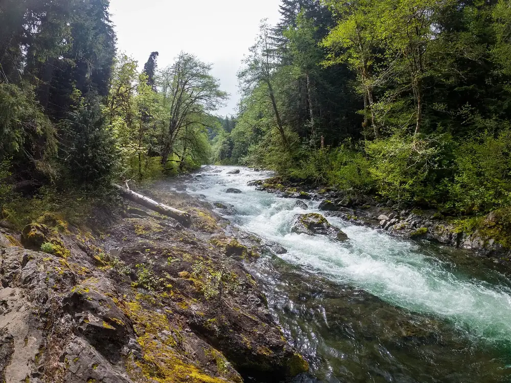 Salmon Cascades: der Sol Duc River rauscht über Felsstufen durch eine bewaldete Schlucht mit bemoosten Felsen