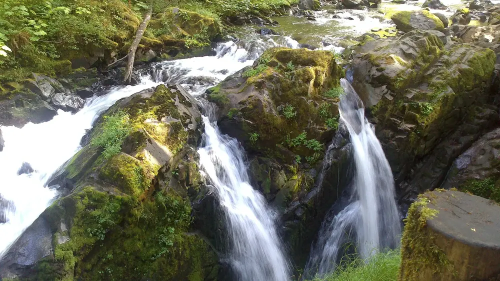 Sol Duc Falls: der Fluss stürzt in mehreren Strahlen in eine enge, bemooste Felsschlucht im Regenwald
