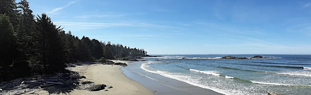 Blick vom Kwisitis Visitor Centre auf einen Sandstrand mit Brandung, gesäumt von dunklem Küstenwald