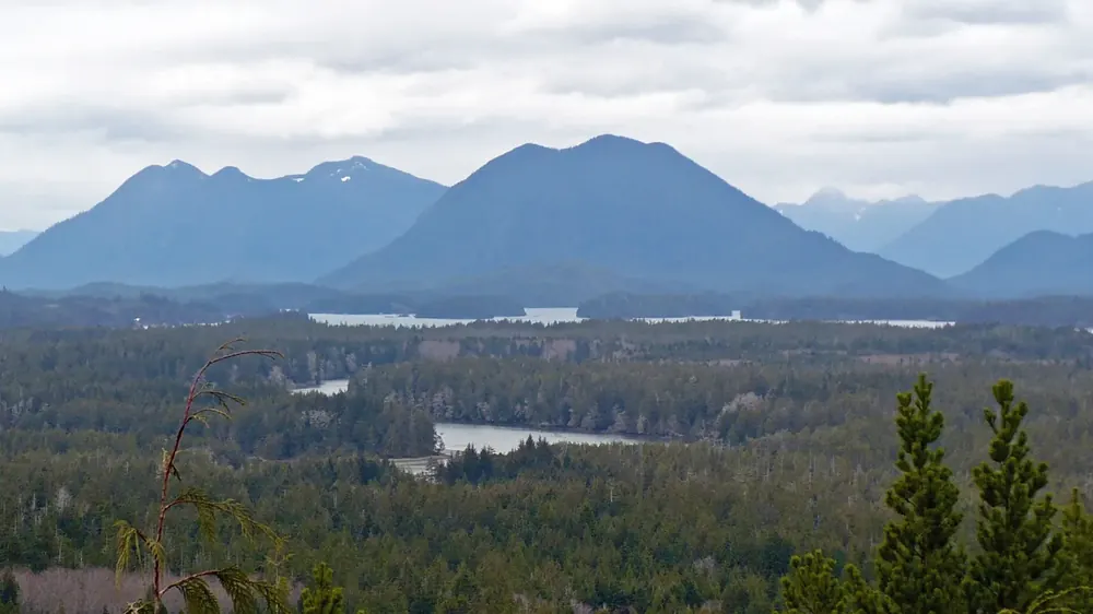 Blick vom Radar Hill über Regenwald, Buchten und Seen zu den bewaldeten Bergen der Clayoquot-Region