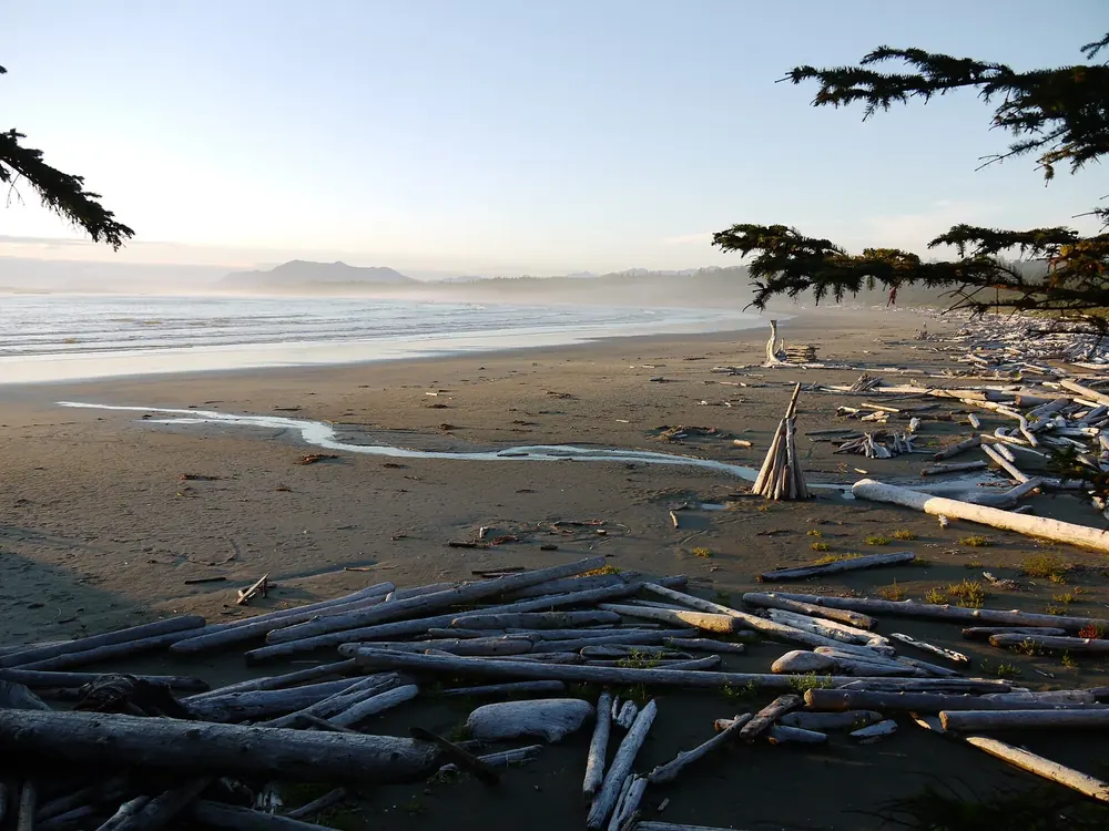 Wickaninnish Beach: breiter Sandstrand mit Treibholzstämmen und einem Bachlauf, dahinter Brandung und Bergsilhouetten