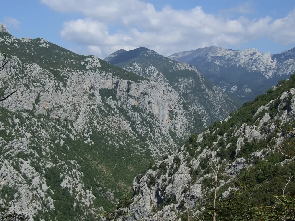 Schlucht der Velika Paklenica: steile, graue Kalkfelswände und bewaldete Hänge unter Quellwolken