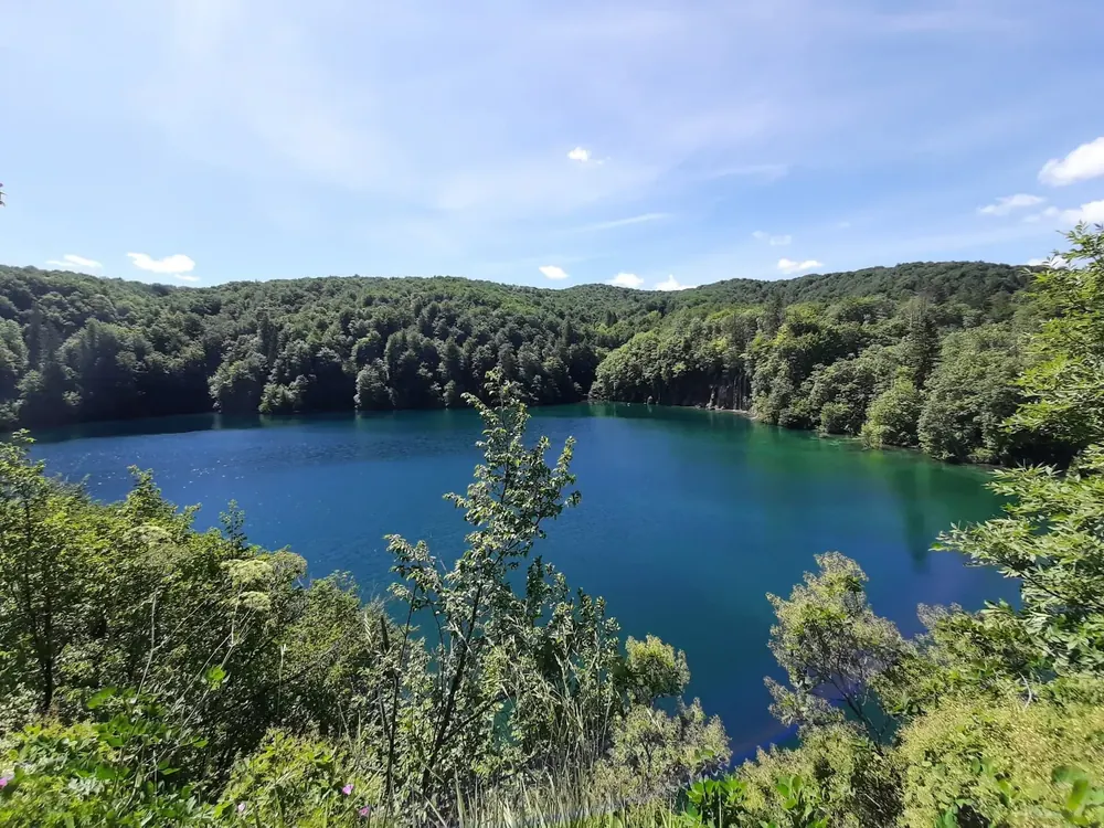 Plitvicer Seen beim Eingang 2: tiefblauer See zwischen dicht bewaldeten Hängen, vorn junges Laub