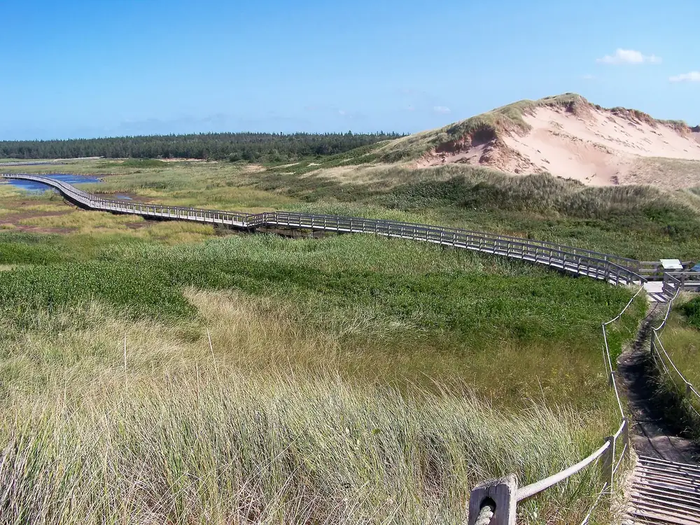 Greenwich Dunes Trail: geschwungener Holzsteg über Feuchtwiesen und Gras zu den Wanderdünen von Greenwich