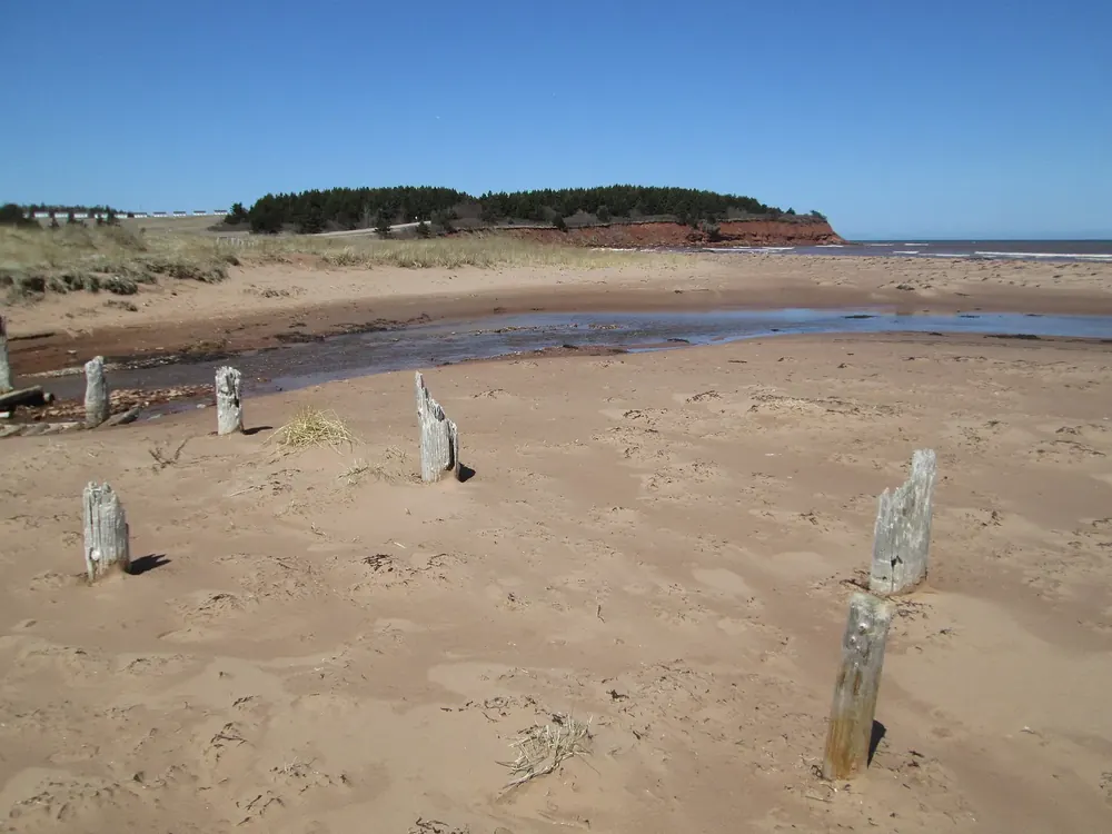 North Rustico Beach: roter Sandstrand mit alten Holzpfählen und einer Lagune, dahinter eine bewaldete Landspitze