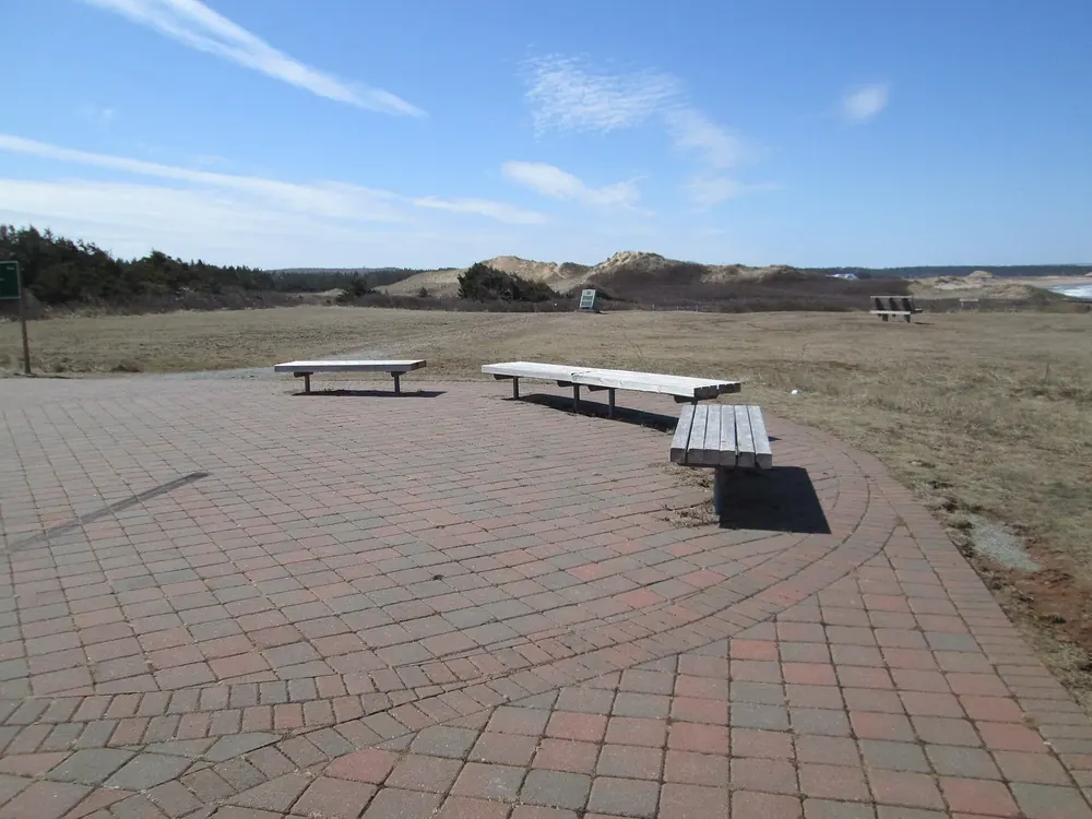 Oceanview Lookout: gepflasterte Aussichtsfläche mit Holzbänken vor Dünen und Grasland im Frühling
