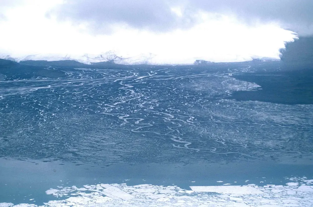 Nordwestufer des Lake Hazen: verzweigtes Delta des Henrietta River unter dem Henrietta-Nesmith-Gletscher