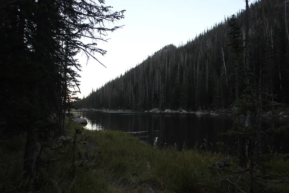Dream Lake: langgestreckter, dunkler Bergsee zwischen dicht bewaldeten Hängen im Gegenlicht