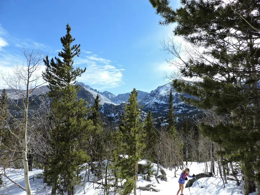 Blick vom Nymph Lake Trail auf den verschneiten Longs Peak hinter Nadel- und kahlen Laubbäumen im Winter